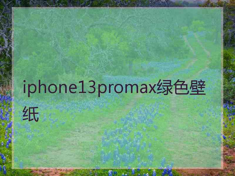 iphone13promax绿色壁纸