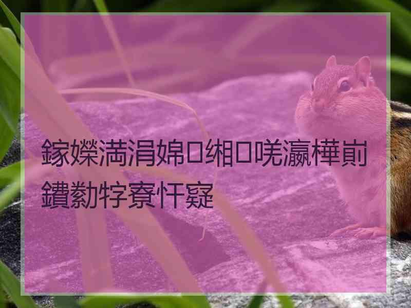 鎵嬫満涓婂缃唴瀛樺崱鐨勬牸寮忓寲