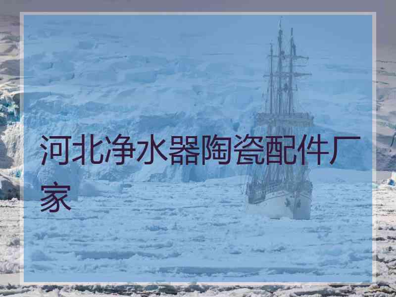 河北净水器陶瓷配件厂家