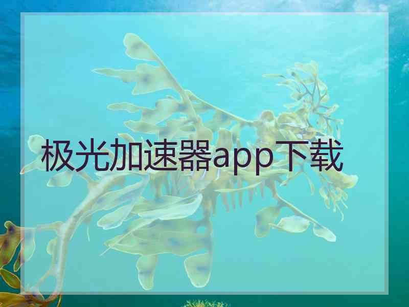 极光加速器app下载