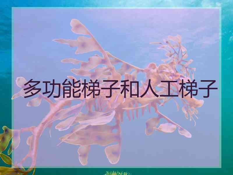 多功能梯子和人工梯子