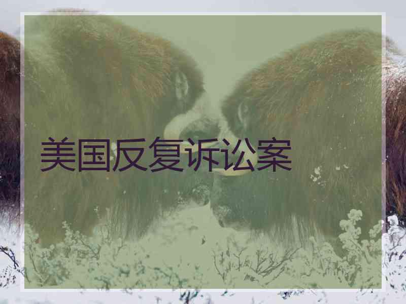 美国反复诉讼案