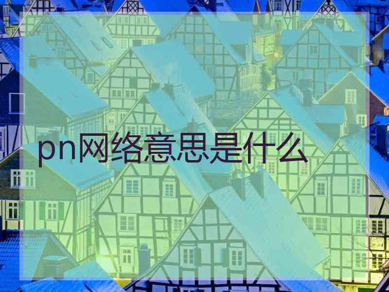 pn网络意思是什么