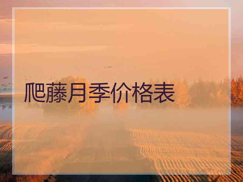 爬藤月季价格表