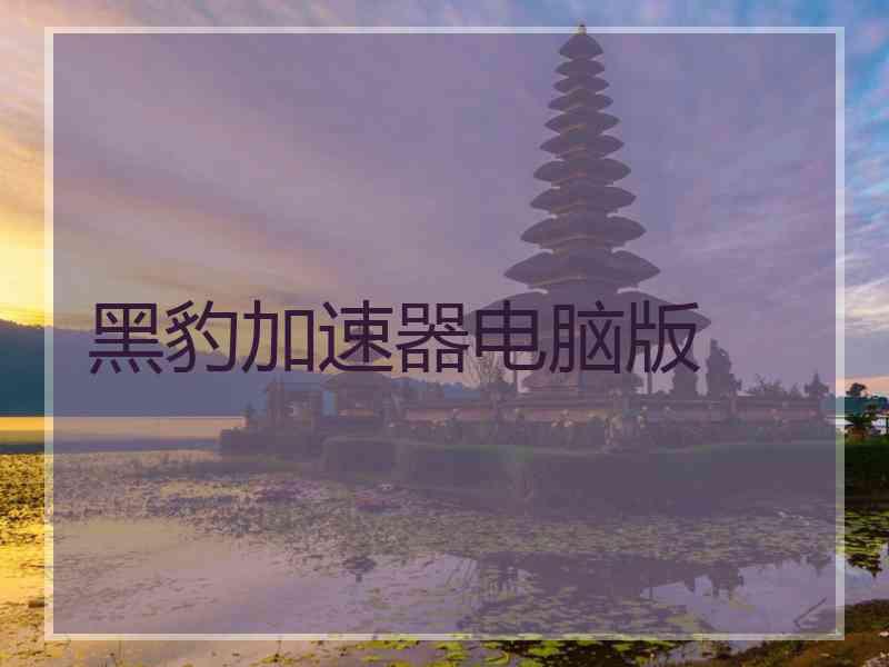 黑豹加速器电脑版
