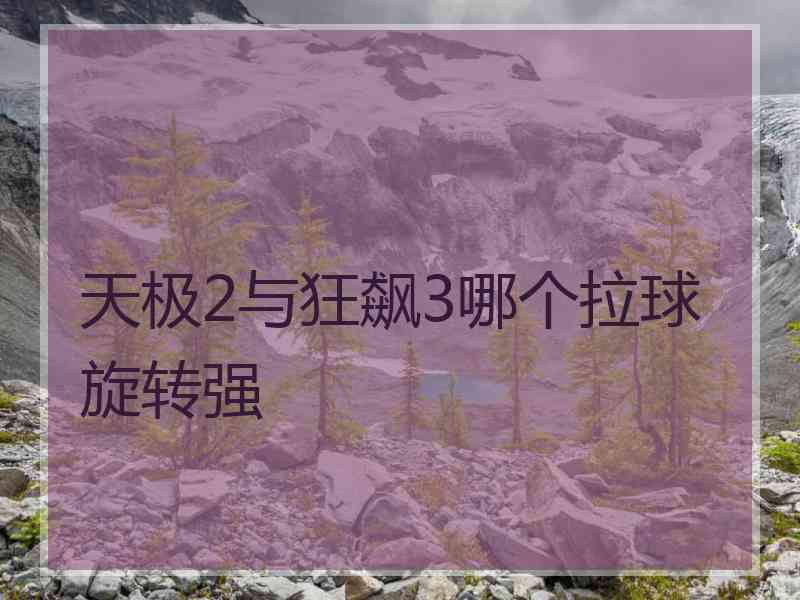 天极2与狂飙3哪个拉球旋转强