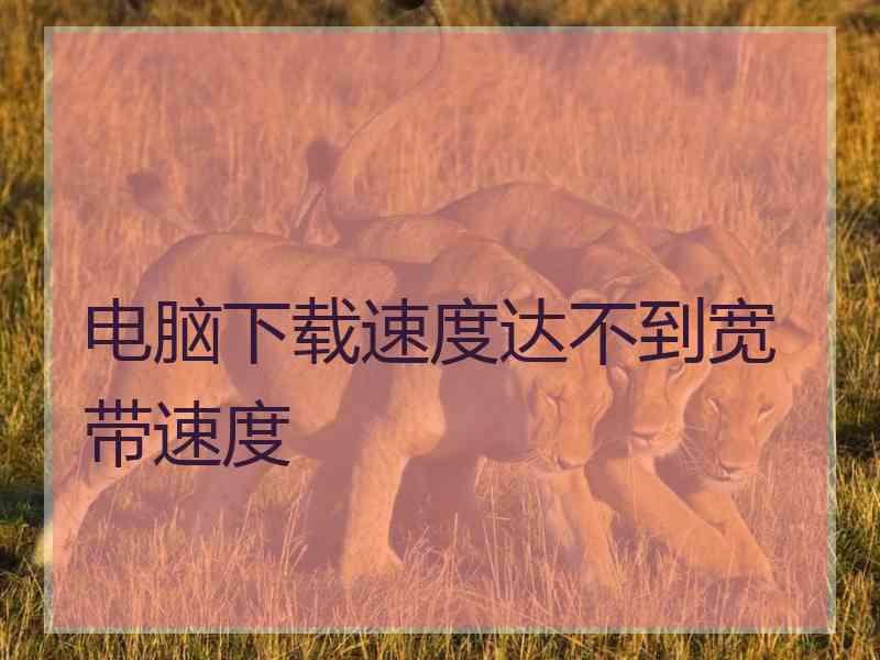 电脑下载速度达不到宽带速度
