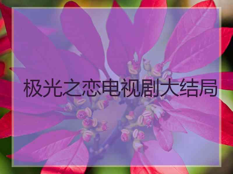极光之恋电视剧大结局