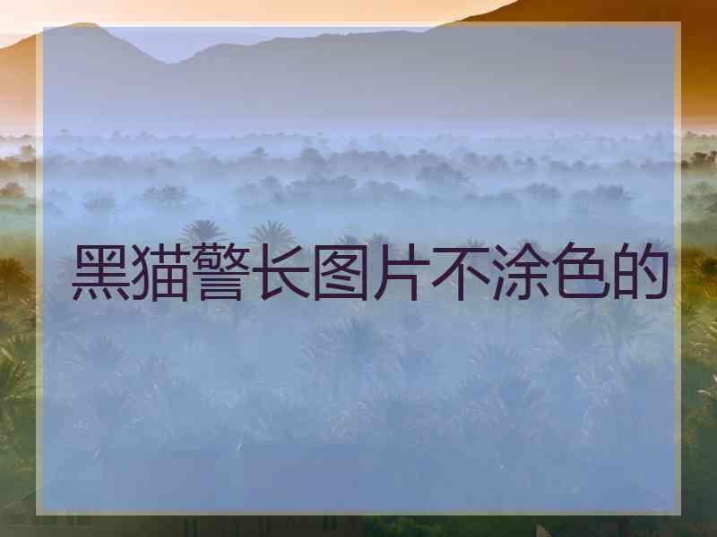 黑猫警长图片不涂色的