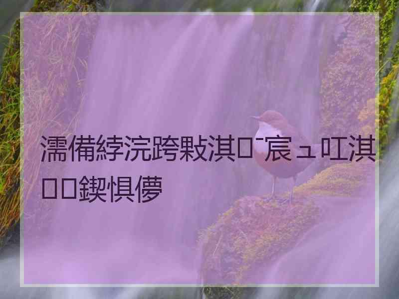 濡備綍浣跨敤淇ˉ宸ュ叿淇鍥惧儚