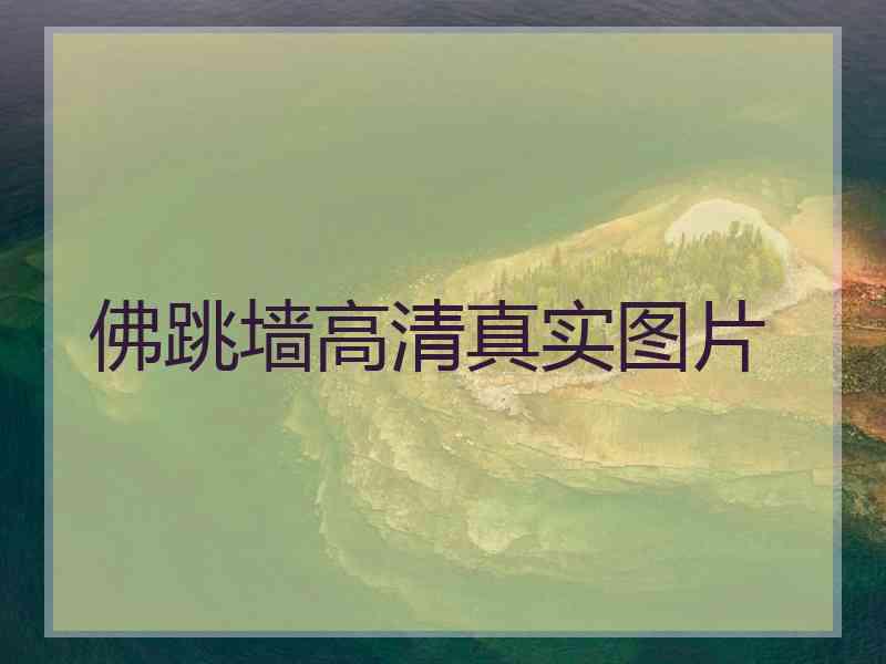 佛跳墙高清真实图片