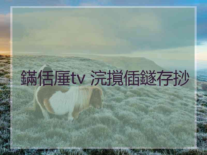 鏋佸厜tv 浣撹偛鐩存挱