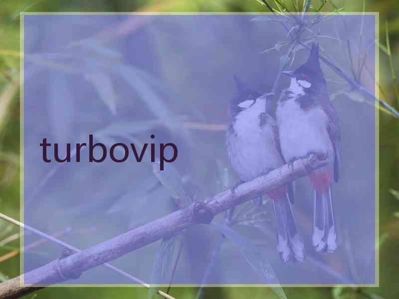 turbovip