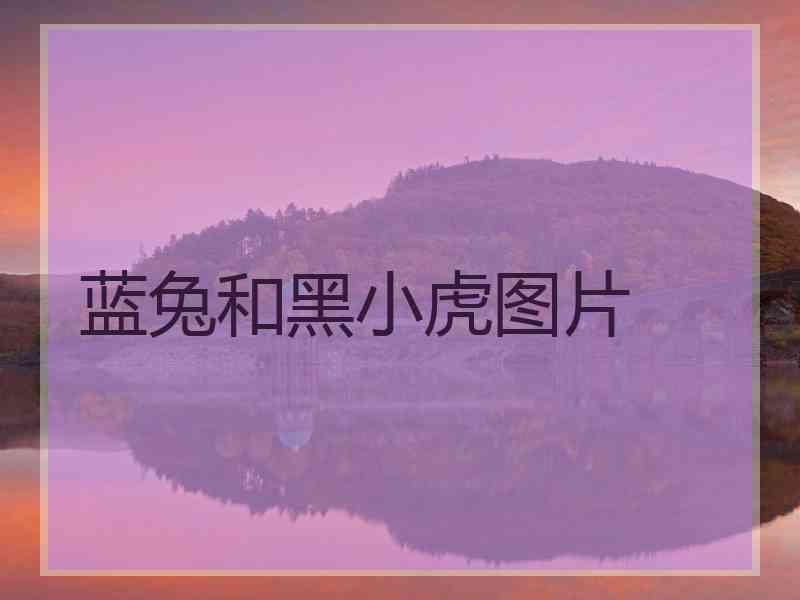 蓝兔和黑小虎图片