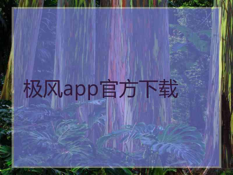 极风app官方下载