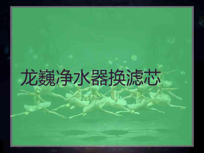 龙巍净水器换滤芯