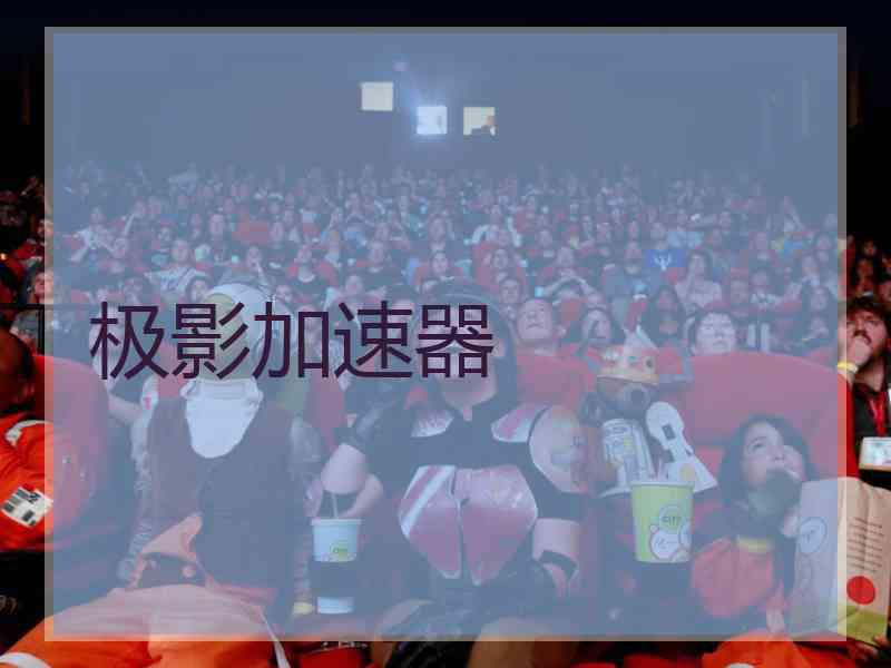 极影加速器