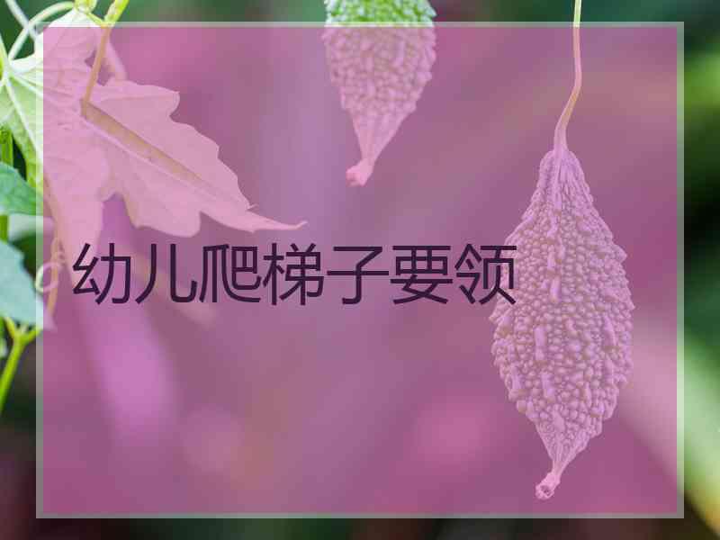 幼儿爬梯子要领