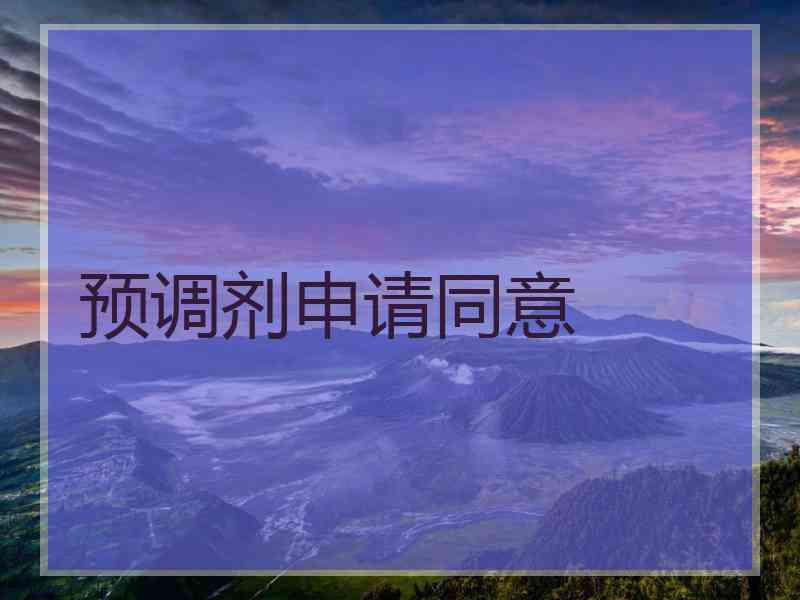 预调剂申请同意
