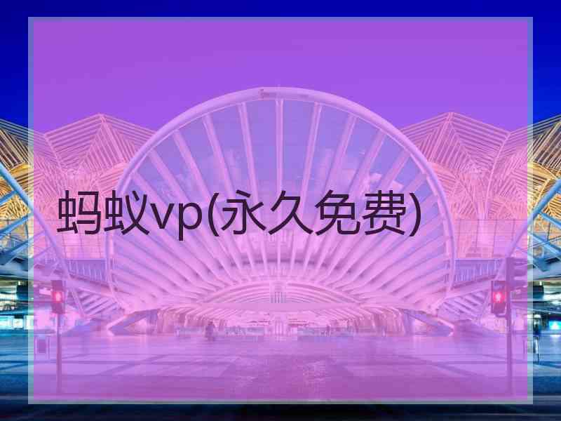 蚂蚁vp(永久免费)