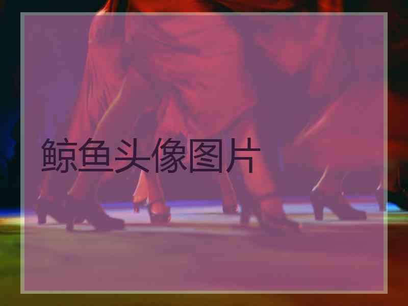 鲸鱼头像图片