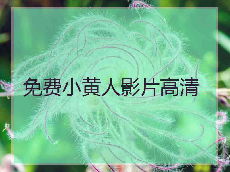 免费小黄人影片高清