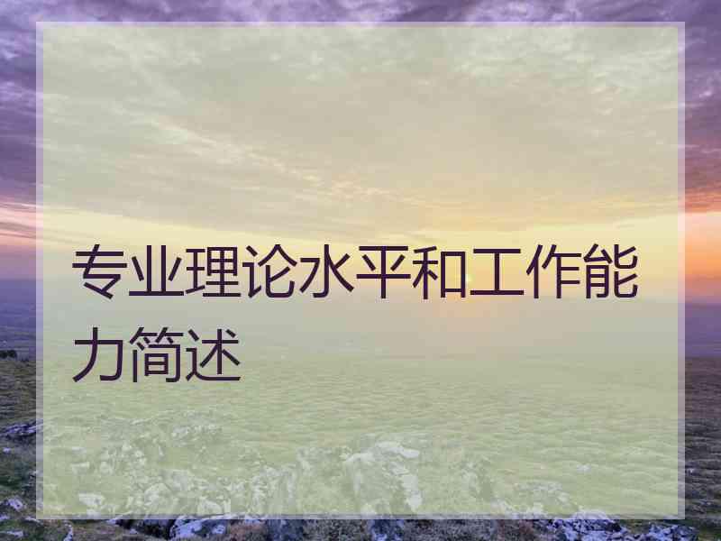 专业理论水平和工作能力简述