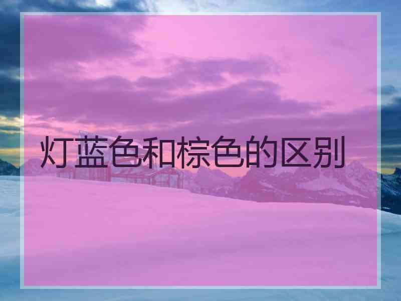 灯蓝色和棕色的区别