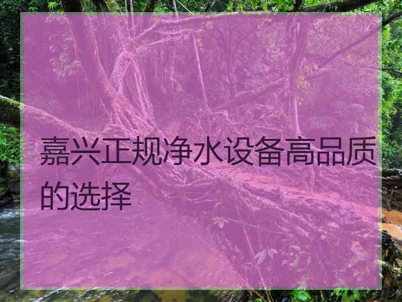 嘉兴正规净水设备高品质的选择