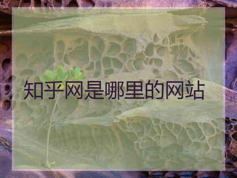 知乎网是哪里的网站