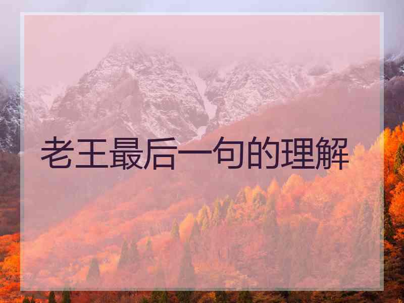 老王最后一句的理解