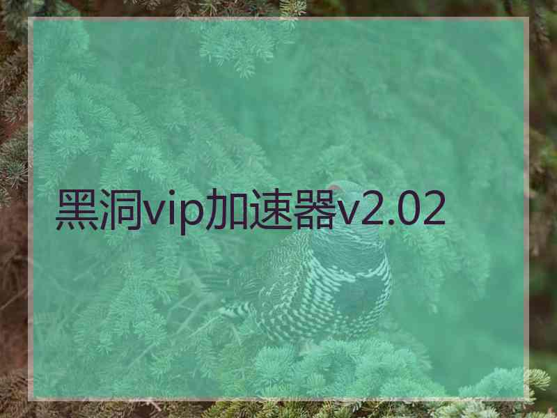 黑洞vip加速器v2.02