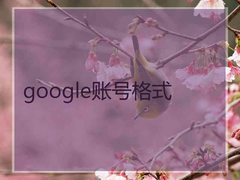 google账号格式