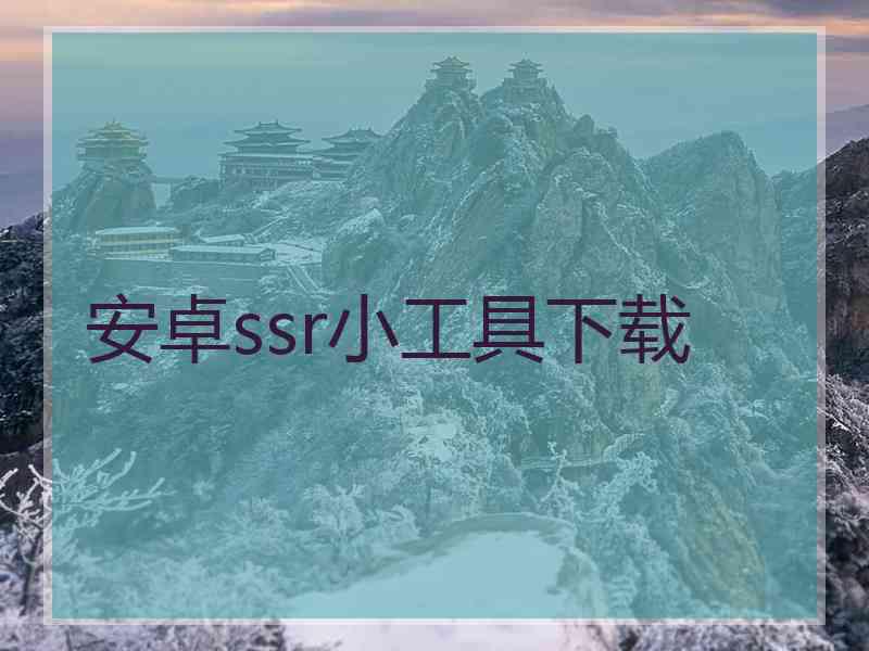 安卓ssr小工具下载