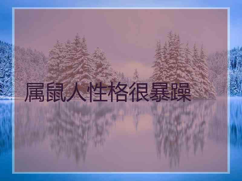 属鼠人性格很暴躁
