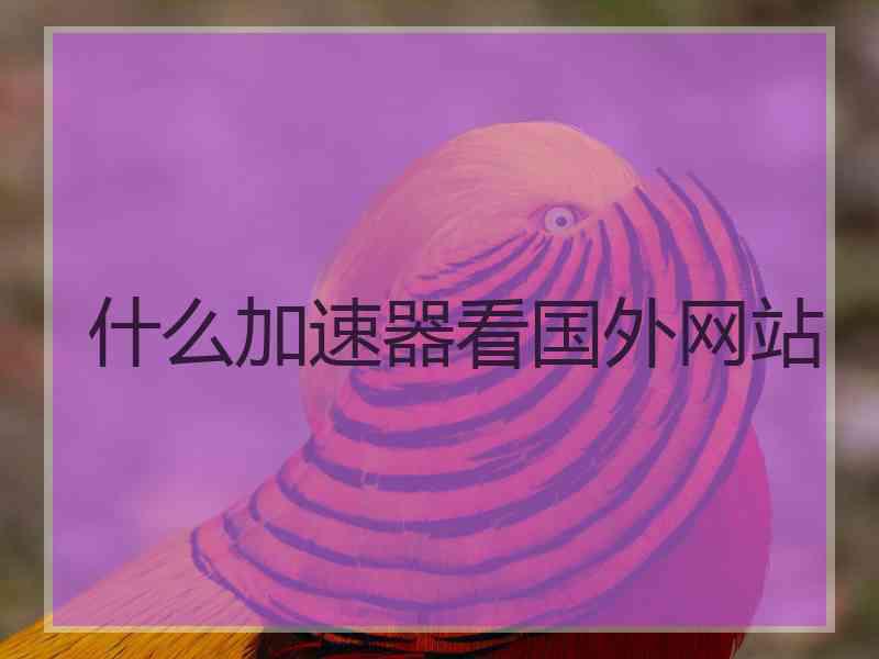 什么加速器看国外网站