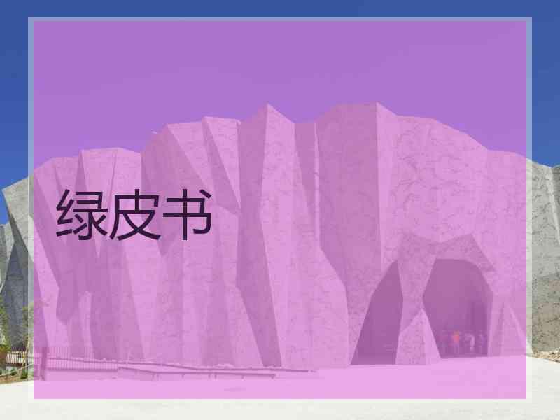 绿皮书