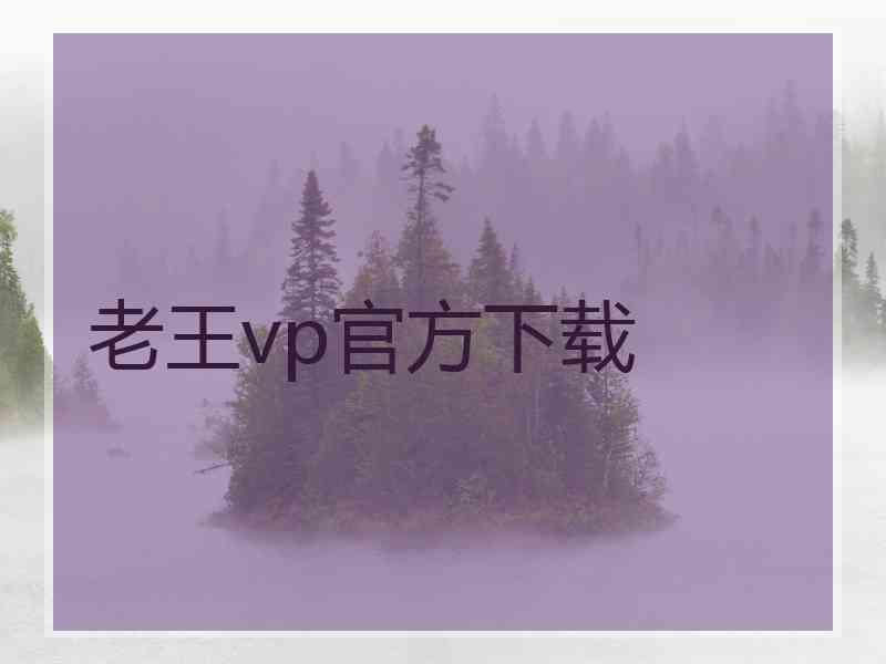 老王vp官方下载