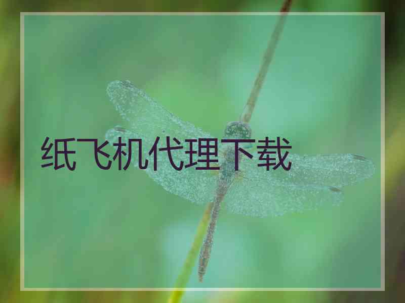 纸飞机代理下载