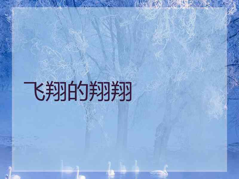 飞翔的翔翔