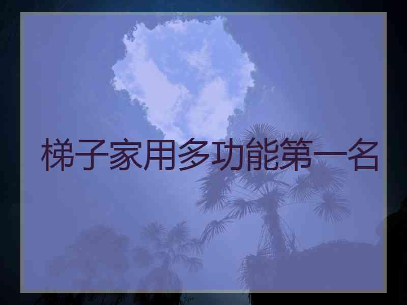 梯子家用多功能第一名