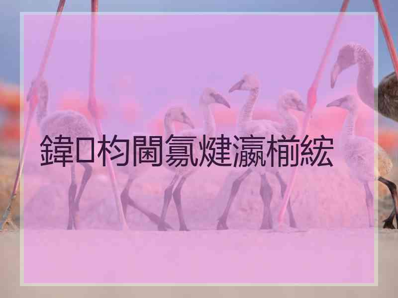 鍏枃閫氱煡瀛椾綋
