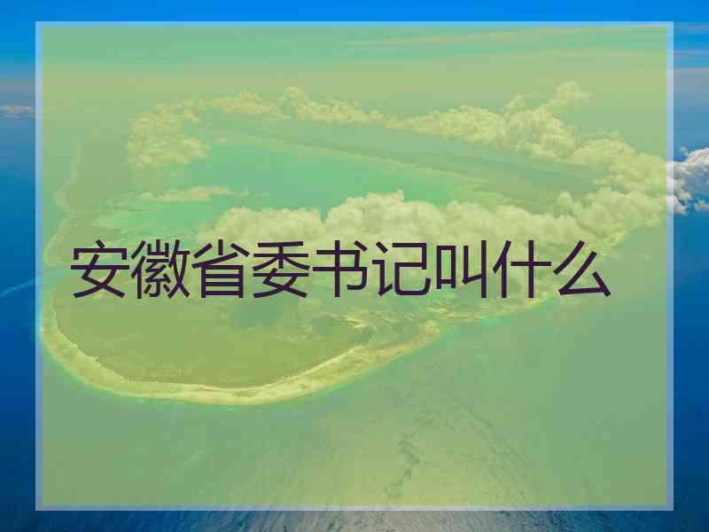 安徽省委书记叫什么