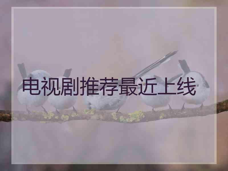 电视剧推荐最近上线