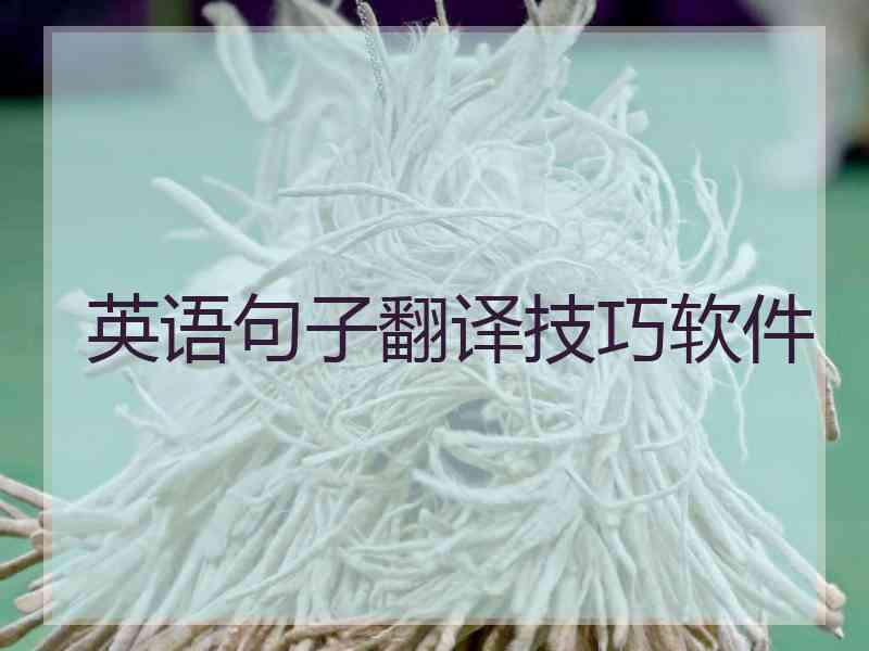 英语句子翻译技巧软件