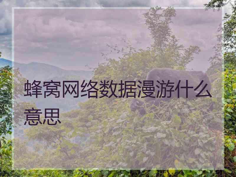 蜂窝网络数据漫游什么意思