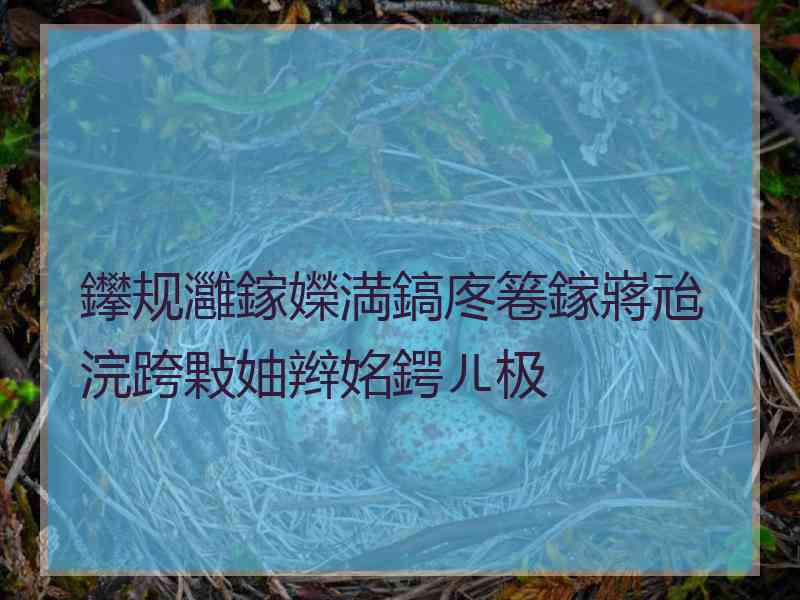 鑻规灉鎵嬫満鎬庝箞鎵嶈兘浣跨敤妯辫姳鍔ㄦ极