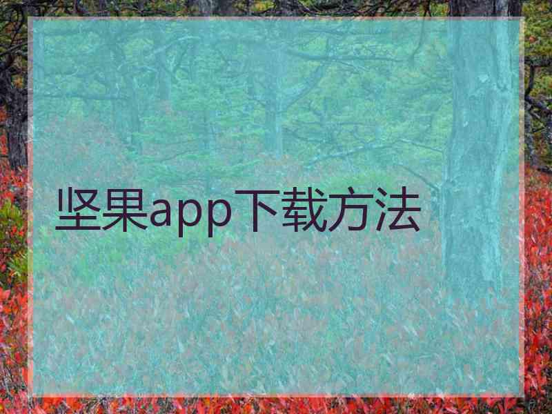坚果app下载方法