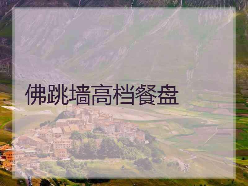 佛跳墙高档餐盘