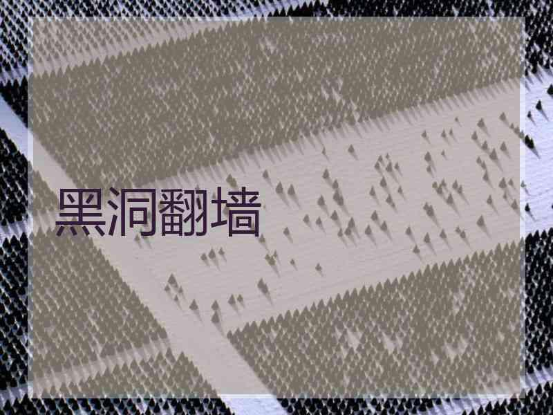 黑洞翻墙